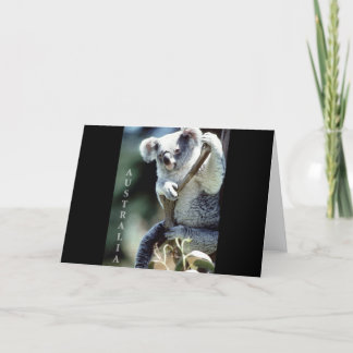 Tarjeta Australia Koala Bear