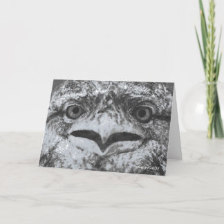 Tarjeta Australian Wildlife, Nature's Curmudgeon, Animal