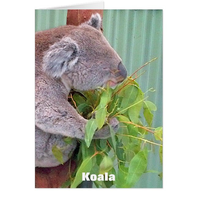 Tarjeta australiana de la fauna (Frente)