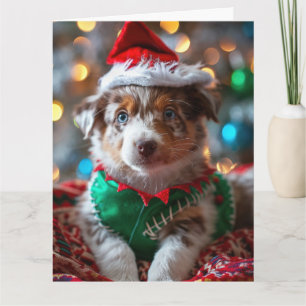 Tarjeta australiana de Navidades de cachorros de e