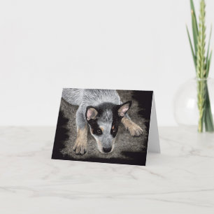 Tarjeta australiana de perrito de ganado bovino -