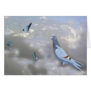 Tarjeta autodirigida de los pájaros de Pidgeons