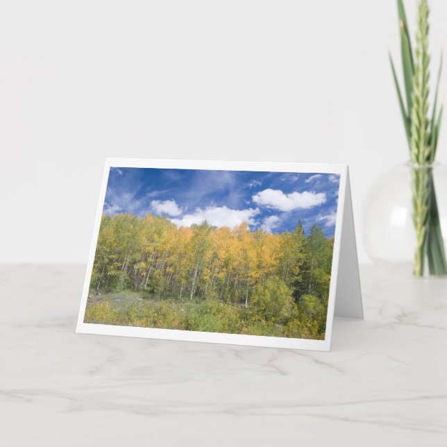 Tarjeta Autumn Aspen Glory Note (Anverso)