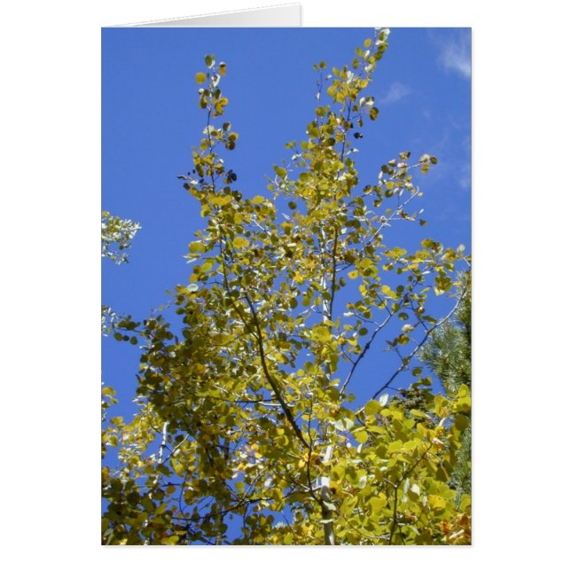 Tarjeta Autumn Aspen Leaves II (Frente)
