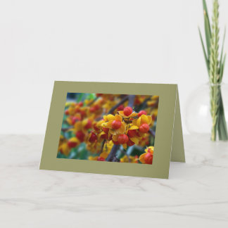 Tarjeta Autumn Color Fall Photo Personalizado Greeting Car