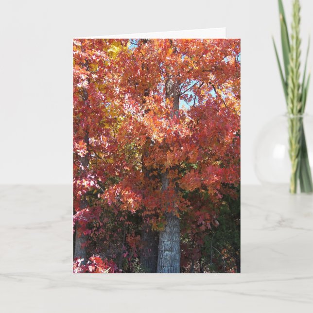 Tarjeta Autumn Crisp (Anverso)
