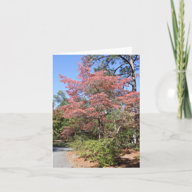 TARJETA AUTUMN DOGWOOD (Anverso)