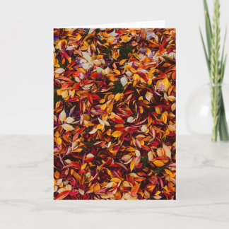 Tarjeta Autumn Fall Color Foliage Leaves Photo Greeting