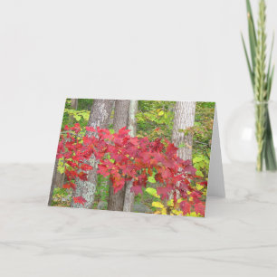 Tarjeta Autumn Notecard