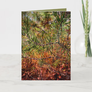 Tarjeta Autumn Pine Needles 