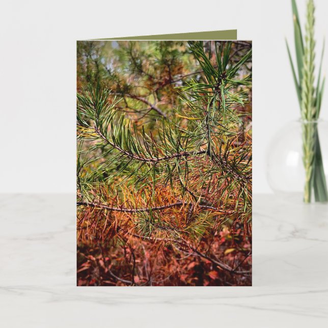 Tarjeta Autumn Pine Needles  (Anverso)
