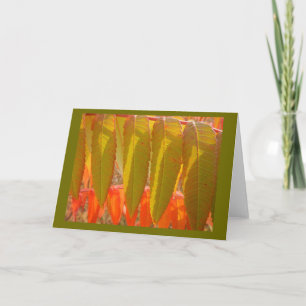 Tarjeta Autumn Sumac Leafs Blank Note Card