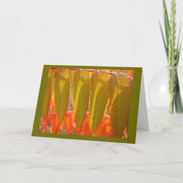Tarjeta Autumn Sumac Leafs Blank Note Card (Anverso)