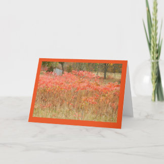 Tarjeta Autumn Sumac y Hunt Shack on Blank Note Card
