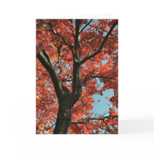 AUTUMN (tarjeta en blanco)