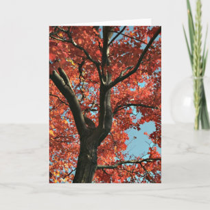 Tarjeta AUTUMN   (tarjeta en blanco)
