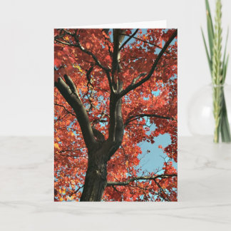 Tarjeta AUTUMN (tarjeta en blanco)