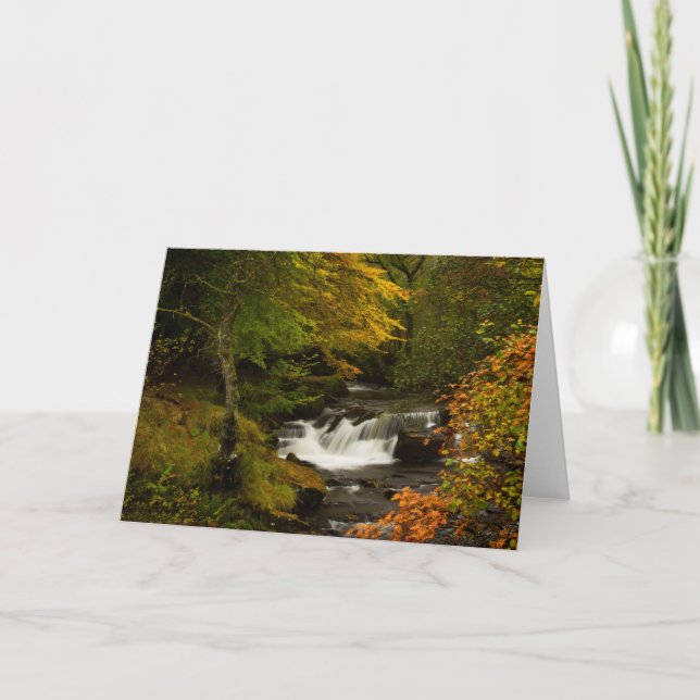Tarjeta Autumn Waterfall Greetings Card (Anverso)