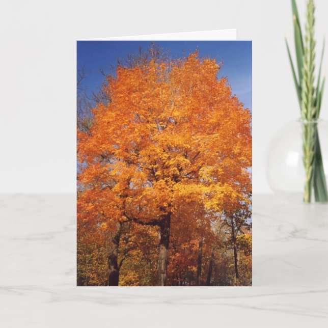 Tarjeta autumntree1card (Anverso)