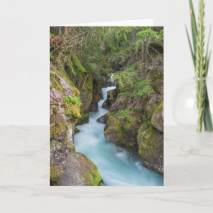 Tarjeta Avalanche Creek, Parque Nacional Glacier, Montana