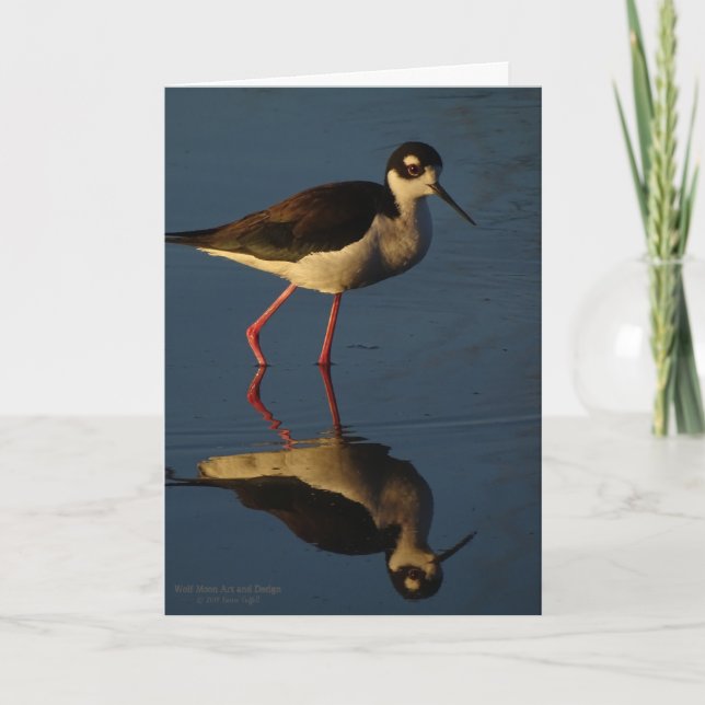Tarjeta Ave costera Negro-Necked de las aves acuáticas del (Anverso)