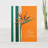 Ave del Paraíso Cumpleaños