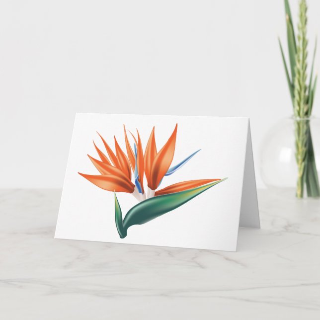 Tarjeta Ave del paraíso, flor exótica estrelitzia (Anverso)