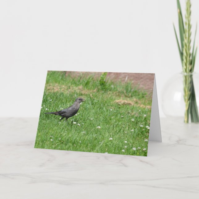 Tarjeta Ave en la hierba (Anverso)