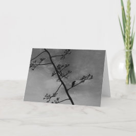 Tarjeta ¡Ave espeluznante en la silueta de la lima "¡Feliz