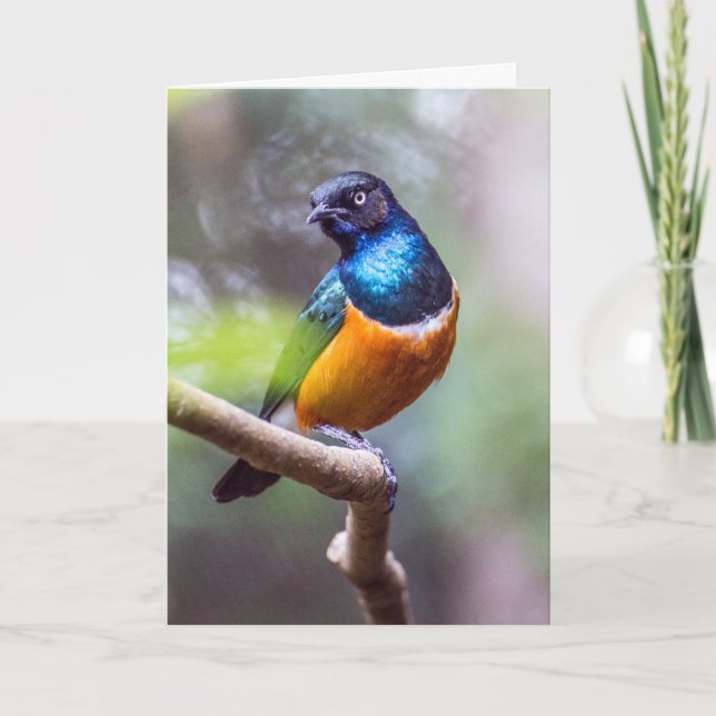 Tarjeta Ave estampada en la punta del árbol (Anverso)