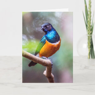 Tarjeta Ave estampada en la punta del árbol