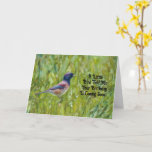 Tarjeta Ave Lover Cute Bird Birday Card Friend<br><div class="desc">Mi obra de arte digital original que muestra mi fotografía original de un ave Junco de ojos oscuros en un árbol está en esta tarjeta de cumpleaños de birdie de bonito. La imagen fue procesada con un efecto de fantasía acuarela para una apariencia ilustrada y caprichosa. El anverso de la...</div>