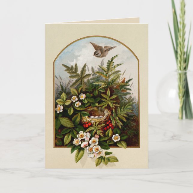 Tarjeta Ave Vintage Con Nido (Anverso)