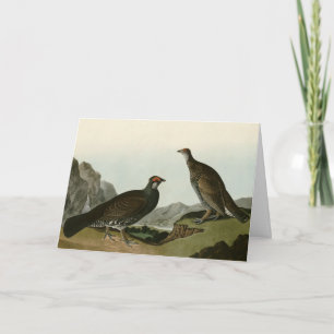 Tarjeta Aves Audubónicas de América Dusky Grous (como el a