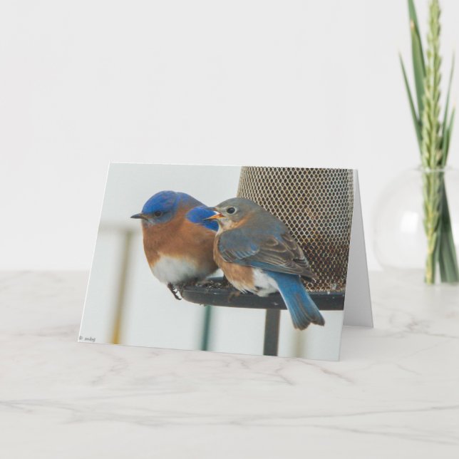 Tarjeta Aves azules (Anverso)