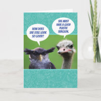 Aves Celosas Graciosas Que Le Dan Un Cumpleaños Gr