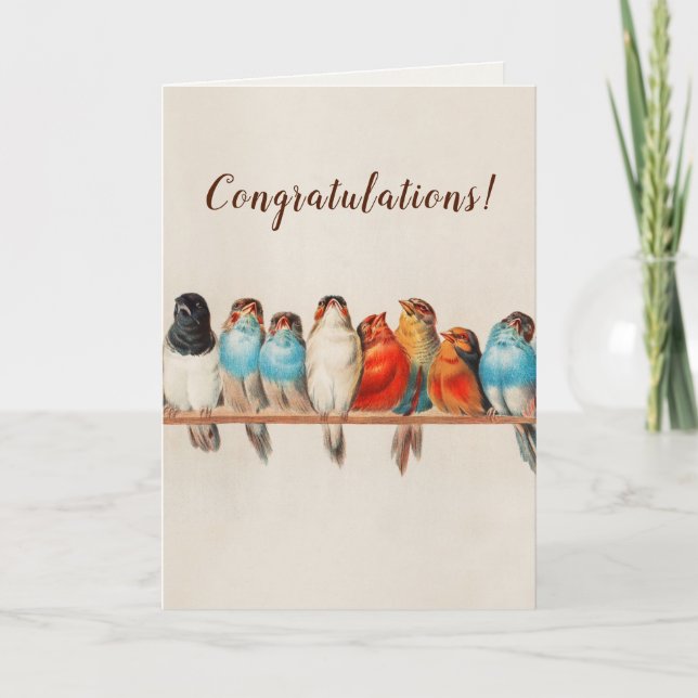 Tarjeta Aves coloridas en una rama felicitaciones (Anverso)