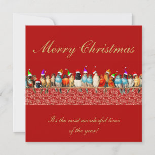 Tarjeta Aves con sombreros de Santa Greeting de Navidad