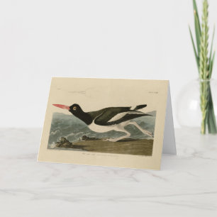 Tarjeta Aves de América de Audubon