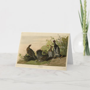 Tarjeta Aves de América del grupo Auspio de Audubon visto 