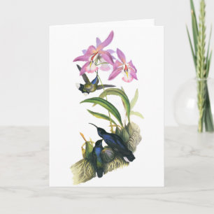 Tarjeta Aves de humor y orquídeas rosas
