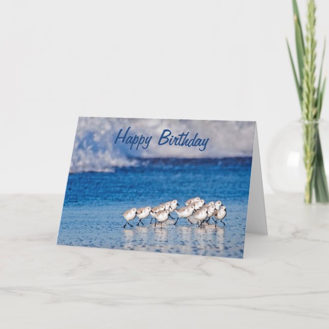 Tarjeta Aves de la Playa Feliz Cumpleaños (Anverso)