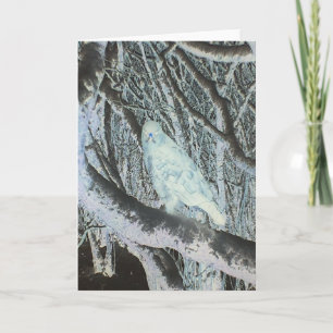 Tarjeta Aves de Presa Dramáticas Zopilote Cazador Fantasma