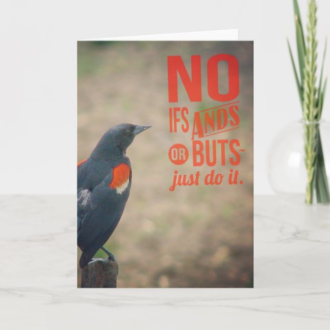 Tarjeta Aves en Fencepost (Anverso)