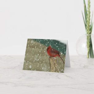 Tarjeta Aves en nieve