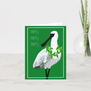Tarjeta Aves - Espátula cariblanca