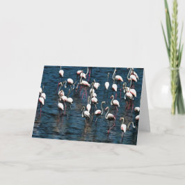 Tarjeta Aves flamingo en rosa y blanco en azul Inkwell