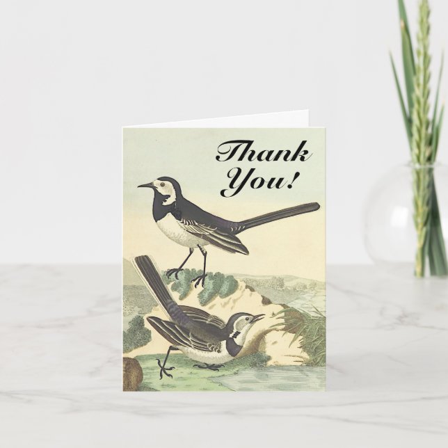 Tarjeta Aves "¡Gracias!" Vista de vintage (Anverso)