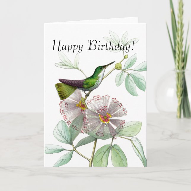 Tarjeta Aves Hummingbirds Flores Animales Florales Vida si (Anverso)