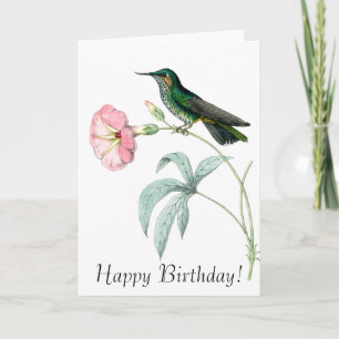 Tarjeta Aves Hummingbirds Flores Animales Florales Vida si